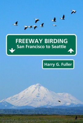 Freeway Birding, San Francisco to Seattle