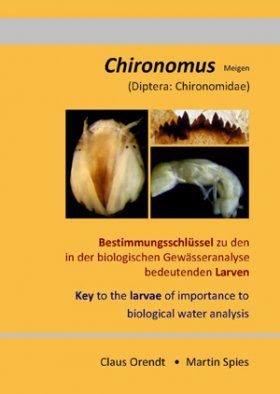 Chironomus (Meigen) (Diptera: Chironomidae): Key to the Larvae of Importance to Biological Water Analysis in Germany and Adjacent Areas / Bestimmungsschlüssel zu den für die Biologische Gewässeranalyse Bedeutenden Larven in Deutschland und Angrenzende