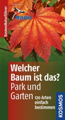 Welcher Baum ist das?