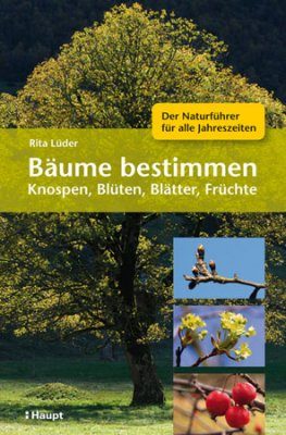 Bäume Bestimmen