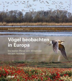 Vögel Beobachten in Europa