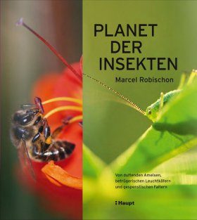 Planet der Insekten
