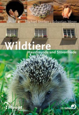 Wildtiere: Hausfreunde und Störenfriede