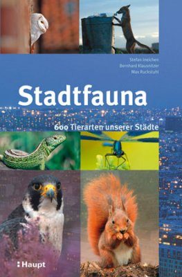 Stadtfauna: 600 Tierarten unserer Städte