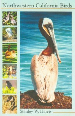 Northwestern California Birds