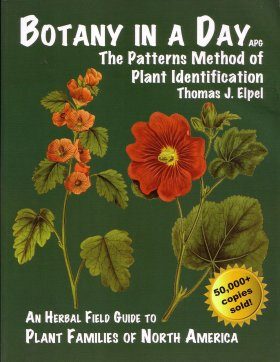 Botany in a Day