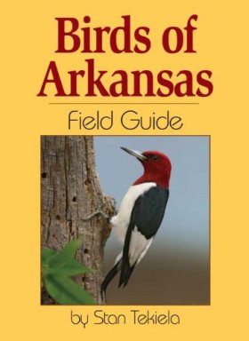 Birds of Arkansas Field Guide