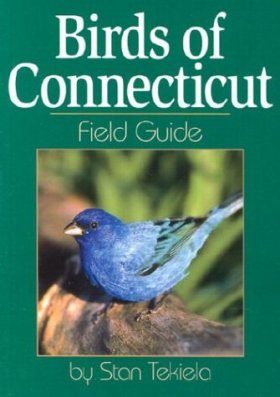 Birds of Connecticut Field Guide