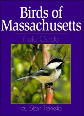Birds of Massachusetts Field Guide