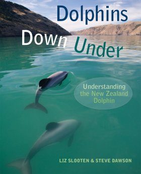Dolphins Down Under