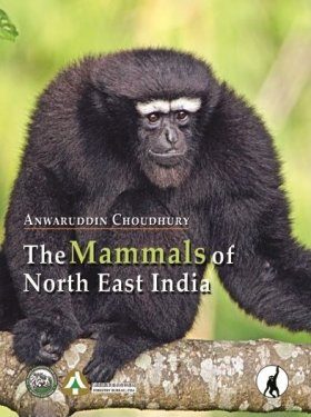 The Mammals of North East India