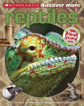 Discover More: Reptiles