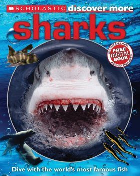 Discover More: Sharks