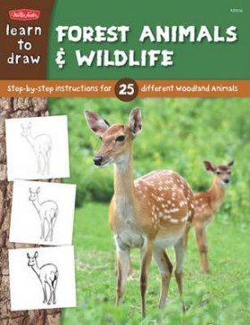 Learn to Draw Forest Animals & Wildlife