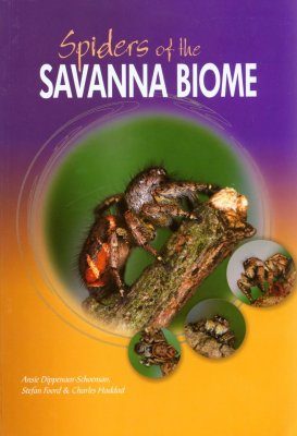 Spiders of the Savanna Biome