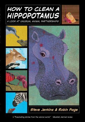 How to Clean a Hippopotamus