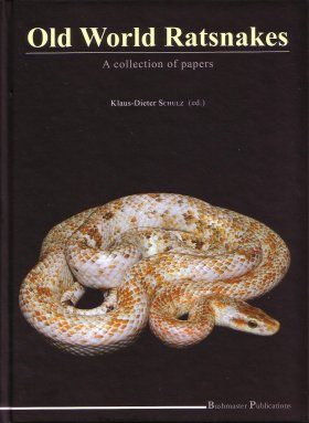 Old World Ratsnakes