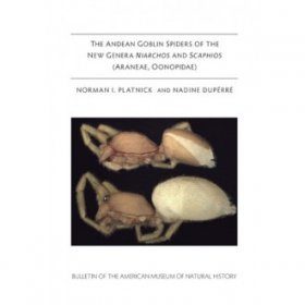 The Andean Goblin Spiders of the New Genera Niarchos and Scaphios (Araneae, Oonopidae)