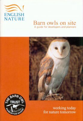 Barn Owls on Site