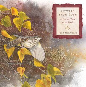 Letters from Eden
