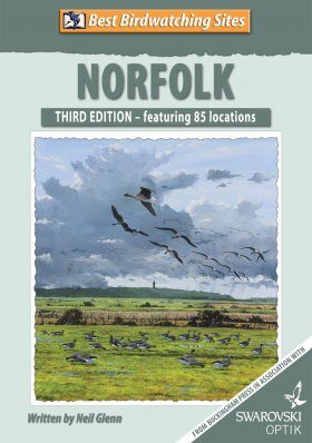 Best Birdwatching Sites: Norfolk