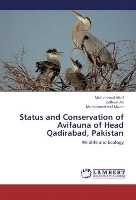 Status and Conservation of Avifauna of Head Qadirabad, Pakistan