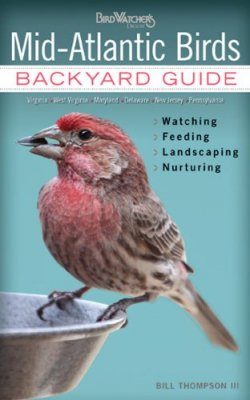 Mid-Atlantic Birds