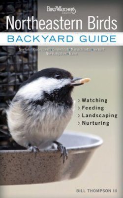 Northeastern Birds