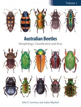 Australian Beetles, Volume 1