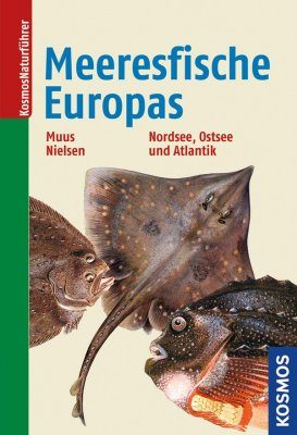 Meeresfische Europas