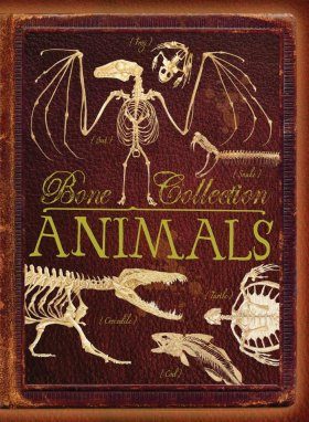 Bone Collection