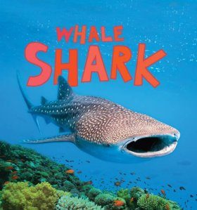 Whale Shark