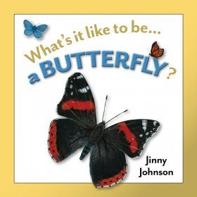 What's It Like To Be A Butterfly