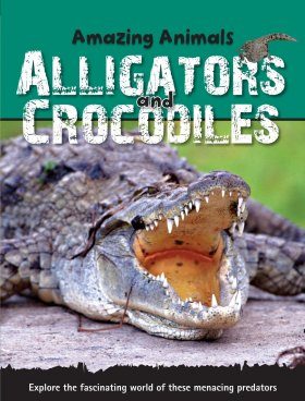 Alligators and Crocodiles