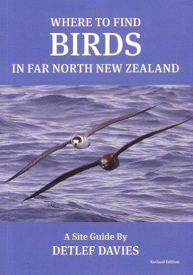 Where to Find Birds in Far North New Zealand