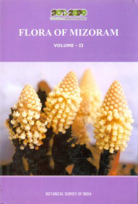 Flora of Mizoram, Volume 2: Campanulaceae - Salicaceae