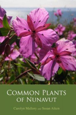 Common Plants of Nunavut