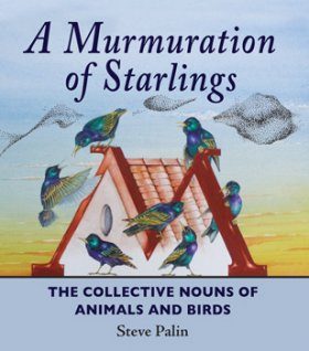 A Murmuration of Starlings