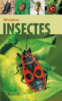Insectes