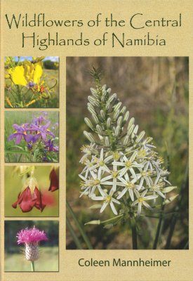 Wildflowers of the Central Highlands of Namibia