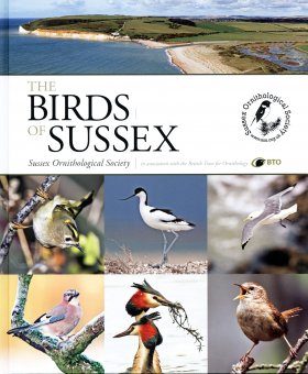 The Birds of Sussex