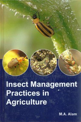 Insect Management Practices in Agriculture