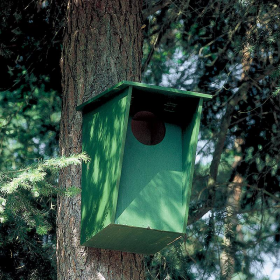 Tawny Owl, Jackdaw and Stock Dove Nest Box