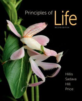 Principles of Life