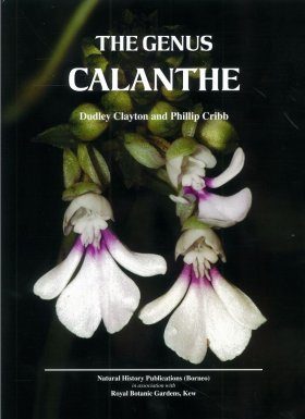 The Genus Calanthe