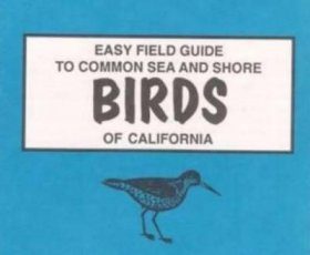 Easy Field Guide to California Sea & Shore Birds