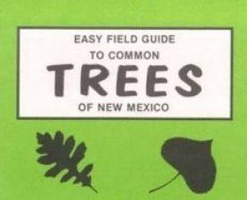 Easy Field Guide to Trees of New Mexico