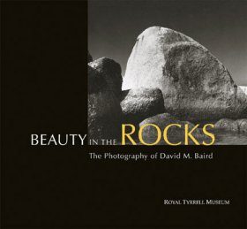 Beauty in the Rocks