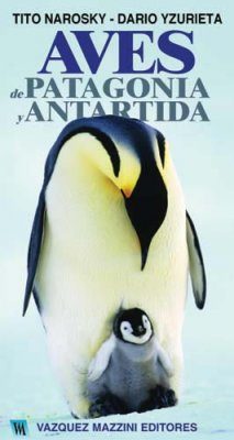 Aves de Patagonia y Antartida