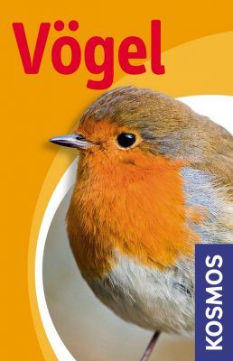 Vögel